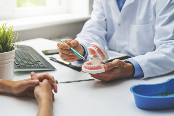 Best General Dentistry  in Holley, FL