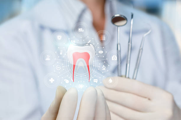 Best Teeth Whitening  in Holley, FL